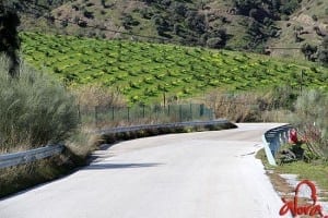 Obras carretera Álora El Chorro