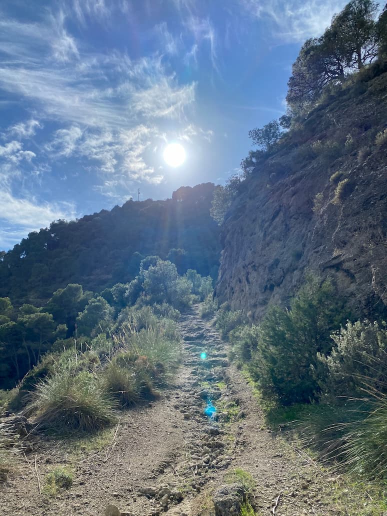 Ruta Sendero Cañada del Lobo