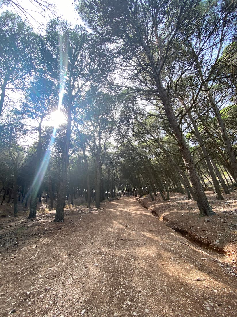 Ruta de senderismo Pico Huma El Chorro La Garganta