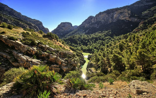 Corredor Verde del Guadalhorce