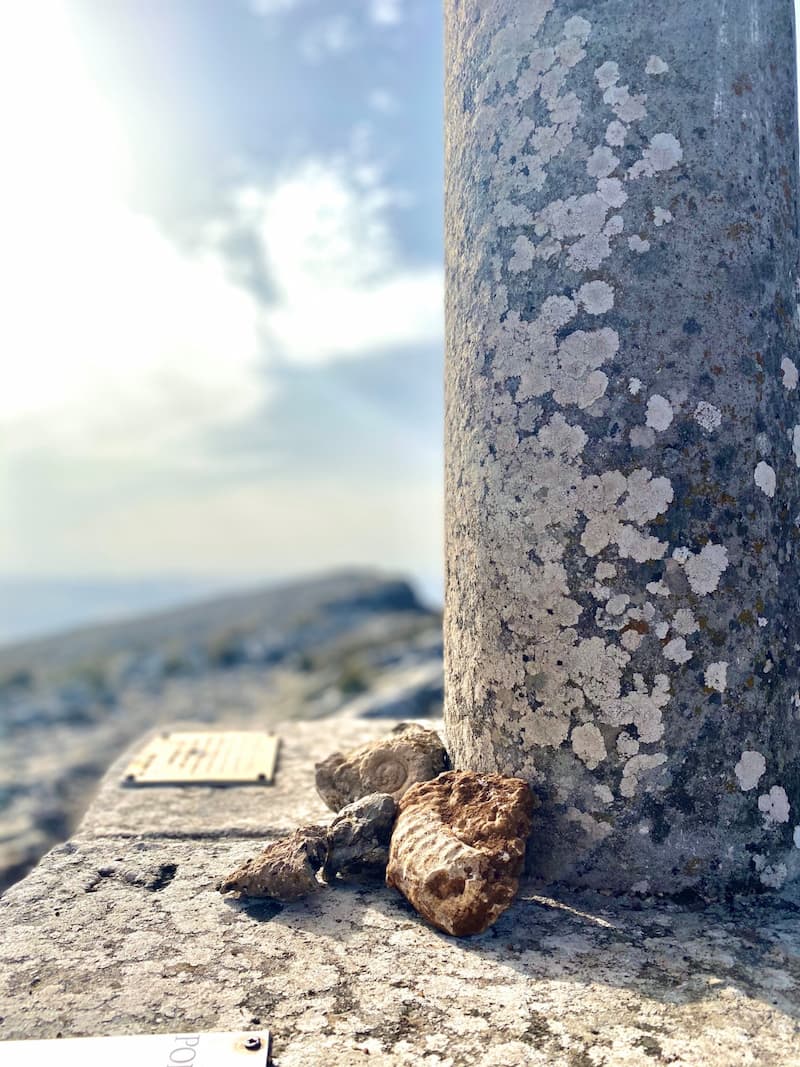 pico huma