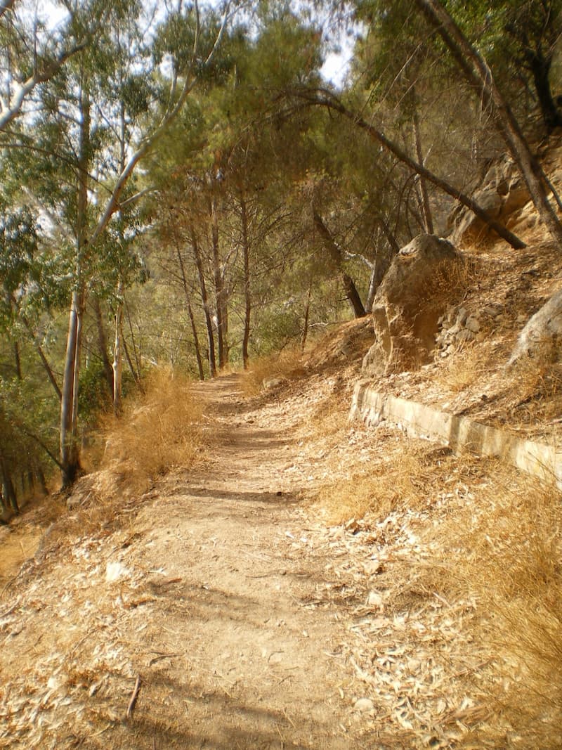 ruta mirador