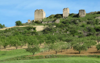 Castillo de turón