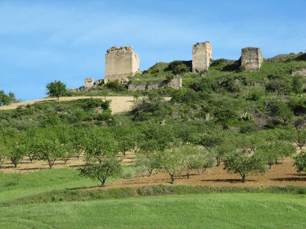 Castillo de turón