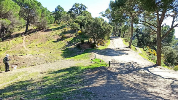 Ruta de las contadoras
